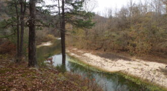 77.49 Acres on the Beautiful Sylamore Creek